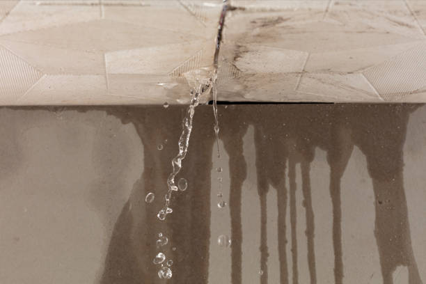 Professional Burst Pipe Cleanup technician working in Fenton, MI